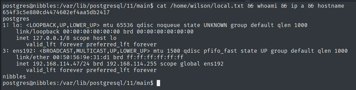 local.txt leido como postgres en nibbles, con whoami postgres y hostname nibbles
