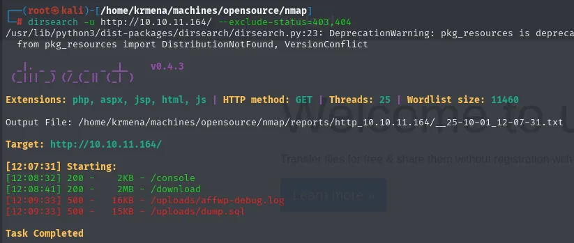 dirsearch sobre 10.10.11.164: /download y /console
