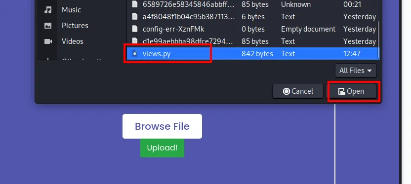 Diálogo de selección de fichero con views.py (842 bytes) marcado y el botón Open
