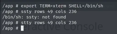 se exportan TERM y SHELL=/bin/sh y se ajusta el tamaño a 49 filas por 236 columnas dentro del contenedor