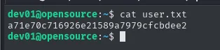 cat user.txt como dev01
