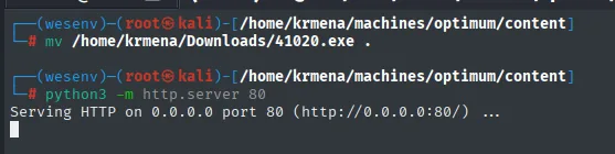 41020.exe movido al directorio de trabajo