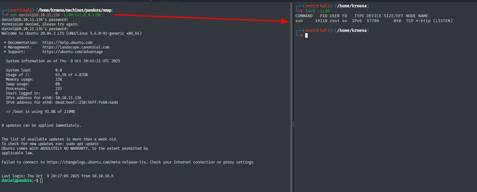 local port forwarding por SSH del 80 local al 80 de la víctima