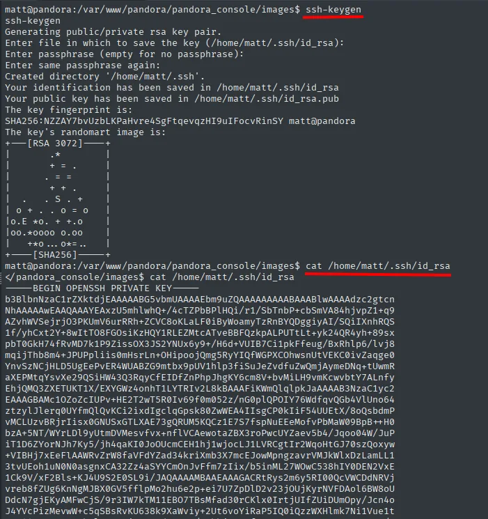 en la víctima, ssh-keygen genera /home/matt/.ssh/id_rsa y cat muestra la clave privada para exfiltrarla