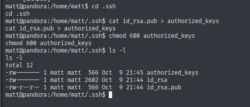 .ssh de matt: authorized_keys creado desde id_rsa.pub con permisos 600, junto a id_rsa e id_rsa.pub