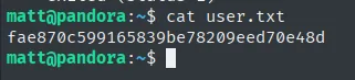 cat user.txt como matt