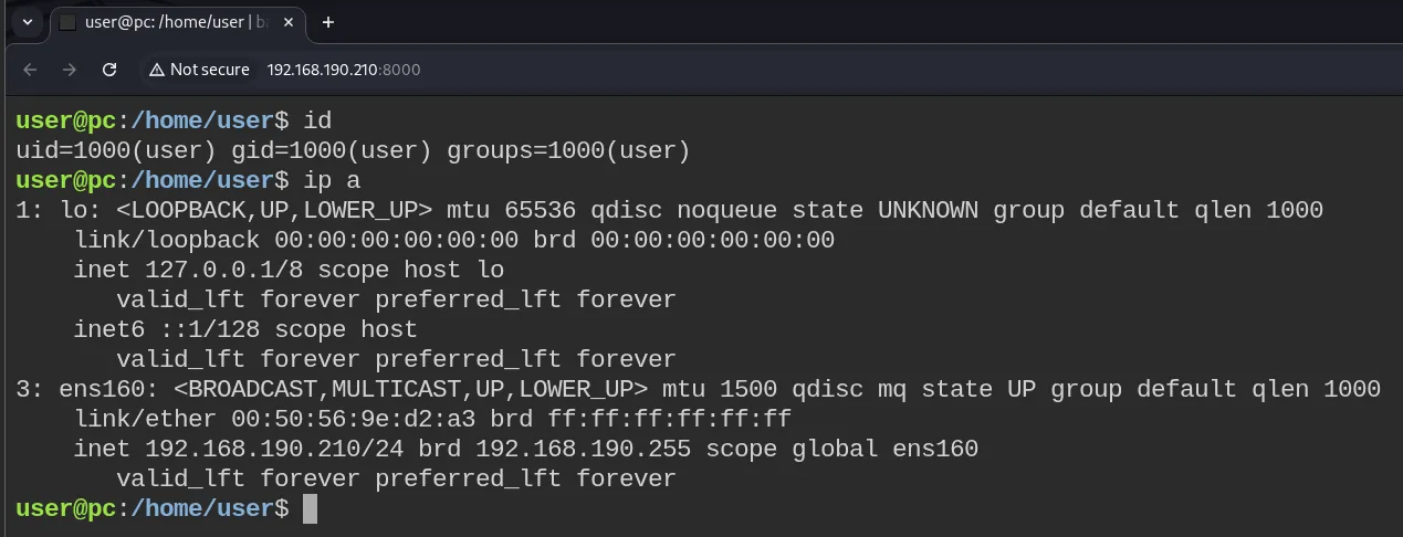 ttyd en el puerto 8000 mostrando una terminal como user@pc (uid=1000) en el navegador