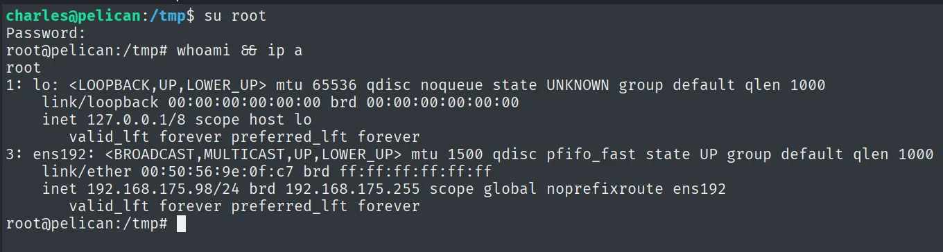 su root con la contraseña recuperada: el prompt pasa a root@pelican y whoami devuelve root