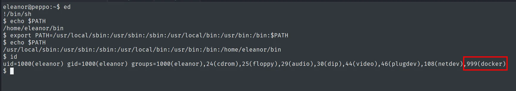 ed !/bin/sh, PATH reconstruido e id mostrando a eleanor en el grupo 999(docker)
