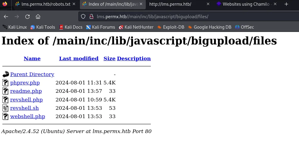 El directorio bigupload/files/ lista la webshell.php subida