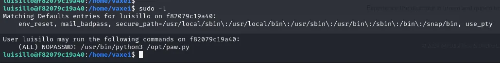 sudo -l como luisillo: (ALL) NOPASSWD /usr/bin/python3 /opt/paw.py, con use_pty entre los Defaults