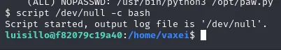 Tras el exec de perl y estabilizar con script, el prompt cambia a luisillo