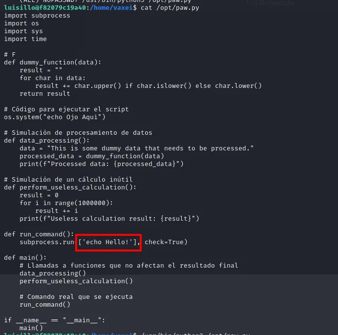 cat /opt/paw.py: import subprocess al inicio, funciones de relleno y run_command llamando a subprocess.run con un echo Hello