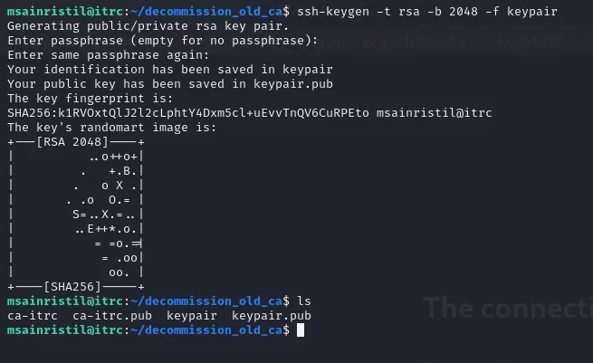 ssh-keygen generando el par keypair/keypair.pub con su randomart