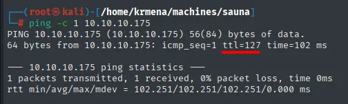 Respuesta del ping con TTL 127