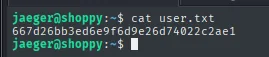 lectura de user.txt desde la sesión de jaeger
