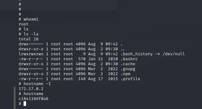La shell del exploit es root dentro de un contenedor Docker (172.17.0.2)