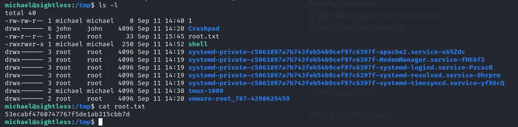 el ls -l de /tmp muestra root.txt con permisos -rw-r--r-- propiedad de root, y el cat devuelve la flag