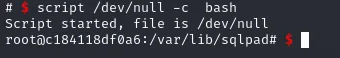 el script /dev/null convierte la shell en una bash con prompt root@c184118df0a6:/var/lib/sqlpad