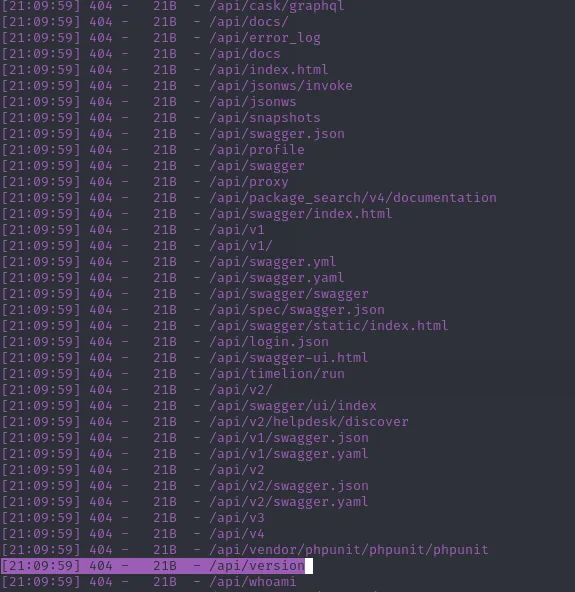 dirsearch lista decenas de rutas /api/... y todas responden 404, entre ellas /api/version