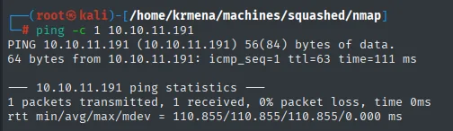 ping a 10.10.11.191: ttl=63 apunta a Linux