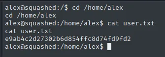cat user.txt como alex