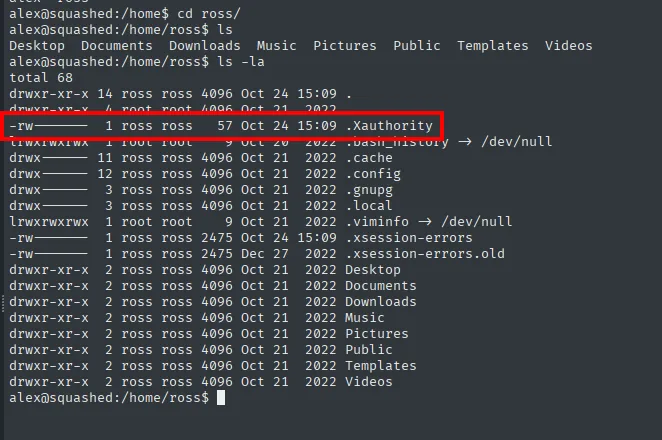 el home de ross contiene un .Xauthority de 57 bytes con permisos 600