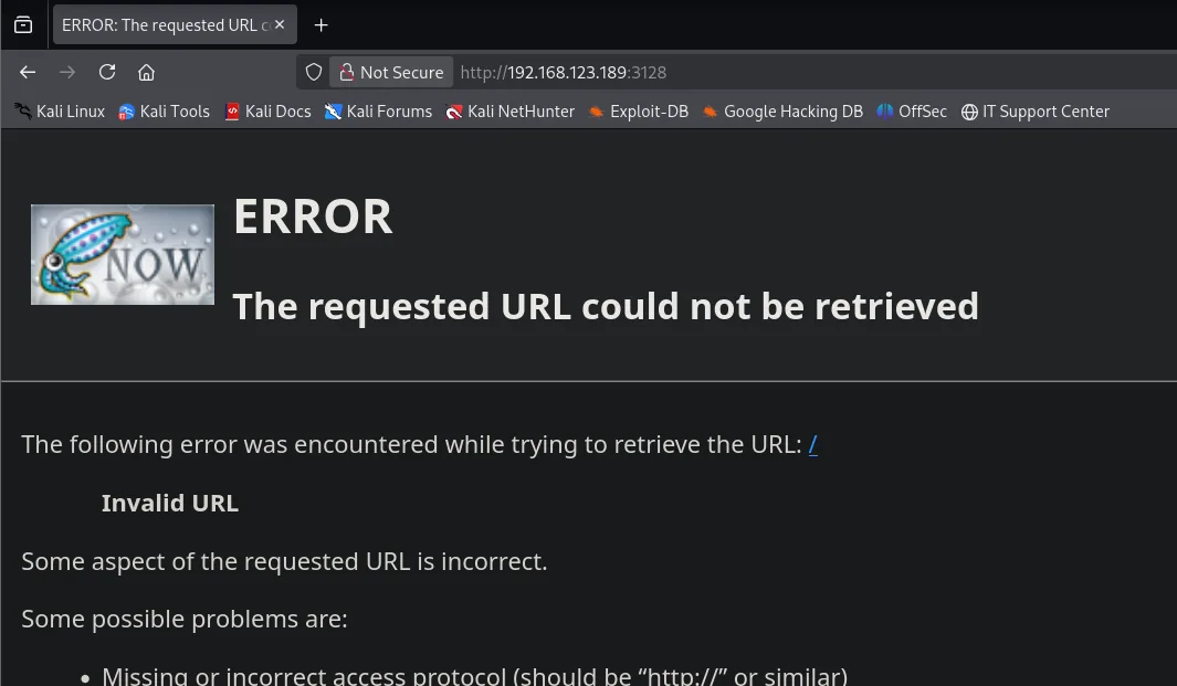 Página de error de Squid: "The requested URL could not be retrieved / Invalid URL" al navegar directamente al 3128
