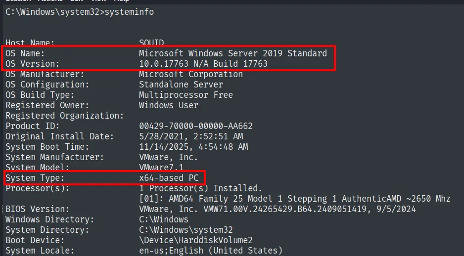 systeminfo: OS Name Microsoft Windows Server 2019 Standard, OS Version 10.0.17763 Build 17763, System Type x64-based PC