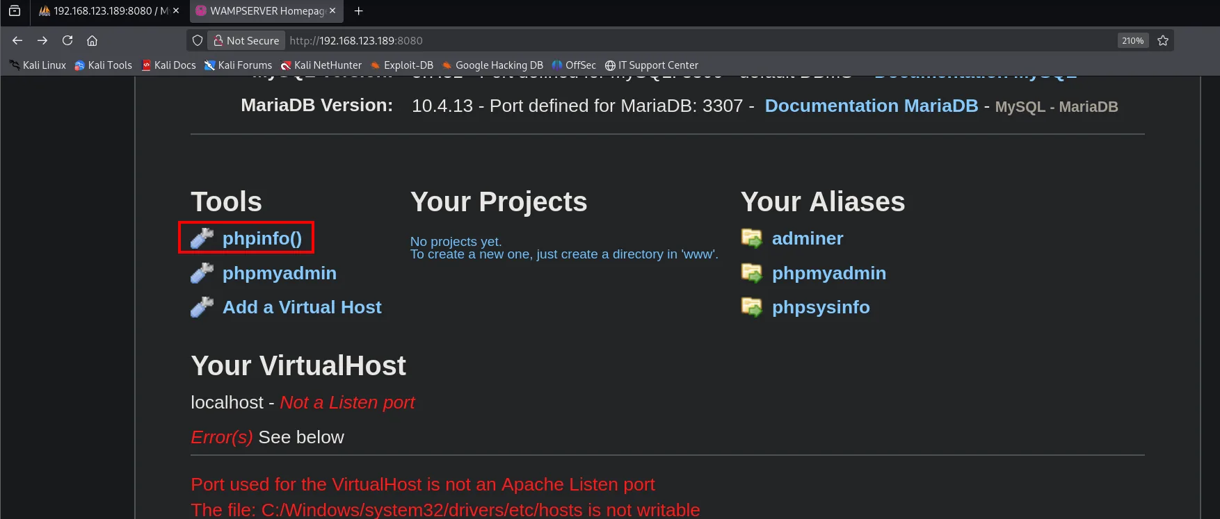 Sección Tools de WampServer con phpinfo() resaltado, más phpmyadmin y adminer
