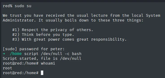 sudo su como peter: tras la contraseña, script /dev/null -c bash y whoami devuelve root